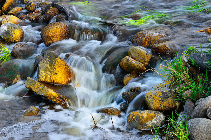 The Creek Flows by Jim Atkinson